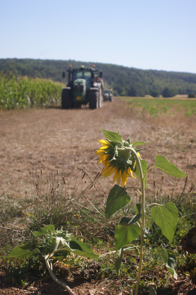 Pascal21cor's tweet photo. Bonne #journéemondialedelaphotographie elle nous permet de voyager, apprendre, ce souvenir
Alors à vos appareils
#ceuxquifontlagriculture #lavuedubureau #agriloving #FrAgTw #cotedesbars #ceuxquivousnourricent https://t.co/e8dpG8C5k1
