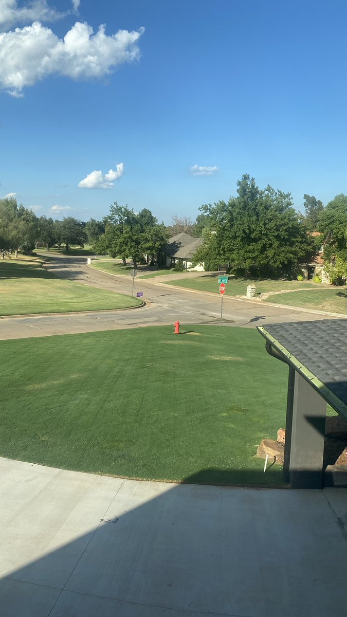 RossFlinton's tweet photo. Day 15 @Tahoma31Bermuda from @Tahoma31guy looking 👌🏼 https://t.co/EwE3hTYpGX