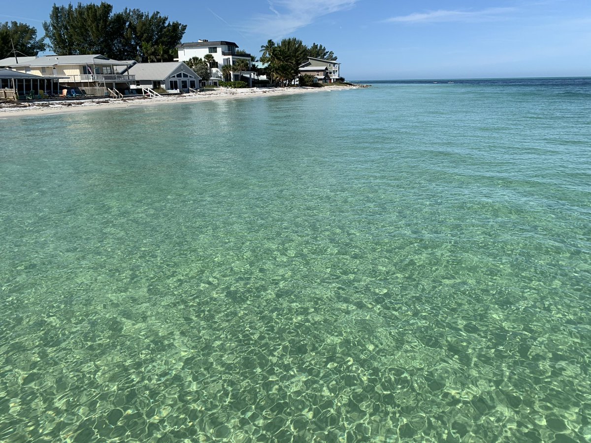 eatlivestay's tweet photo. @afewmilesmore @LiveaMemory @Giselleinmotion @perthtravelers @CharlesMcCool @TravelBugsWorld @paulpassingthru @Chalkcheese111 @DemiCassiani @gfreetraveler @suziday123 @Adventuringgal @beckyexploring @lizzie_hubbard2 What a wonderful wildlife photo ๐ We love how that place on the pier has a local vibe!
#Top4Piers #Top4Theme https://t.co/gHIaZPby1F