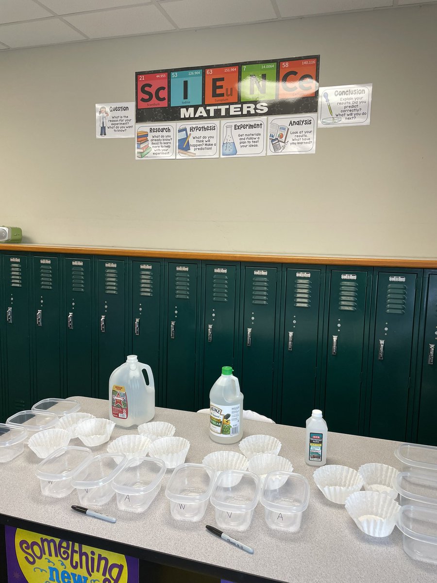 young_teaches's tweet photo. 2nd day of school was amazing! Students walked through the scientific process today, had some great conversations about the importance of mistakes, AND they successfully worked pairs and groups!! I am one happy teacher. #jpepride #intentional1 #1LISD. https://t.co/oPmRdiRYb5