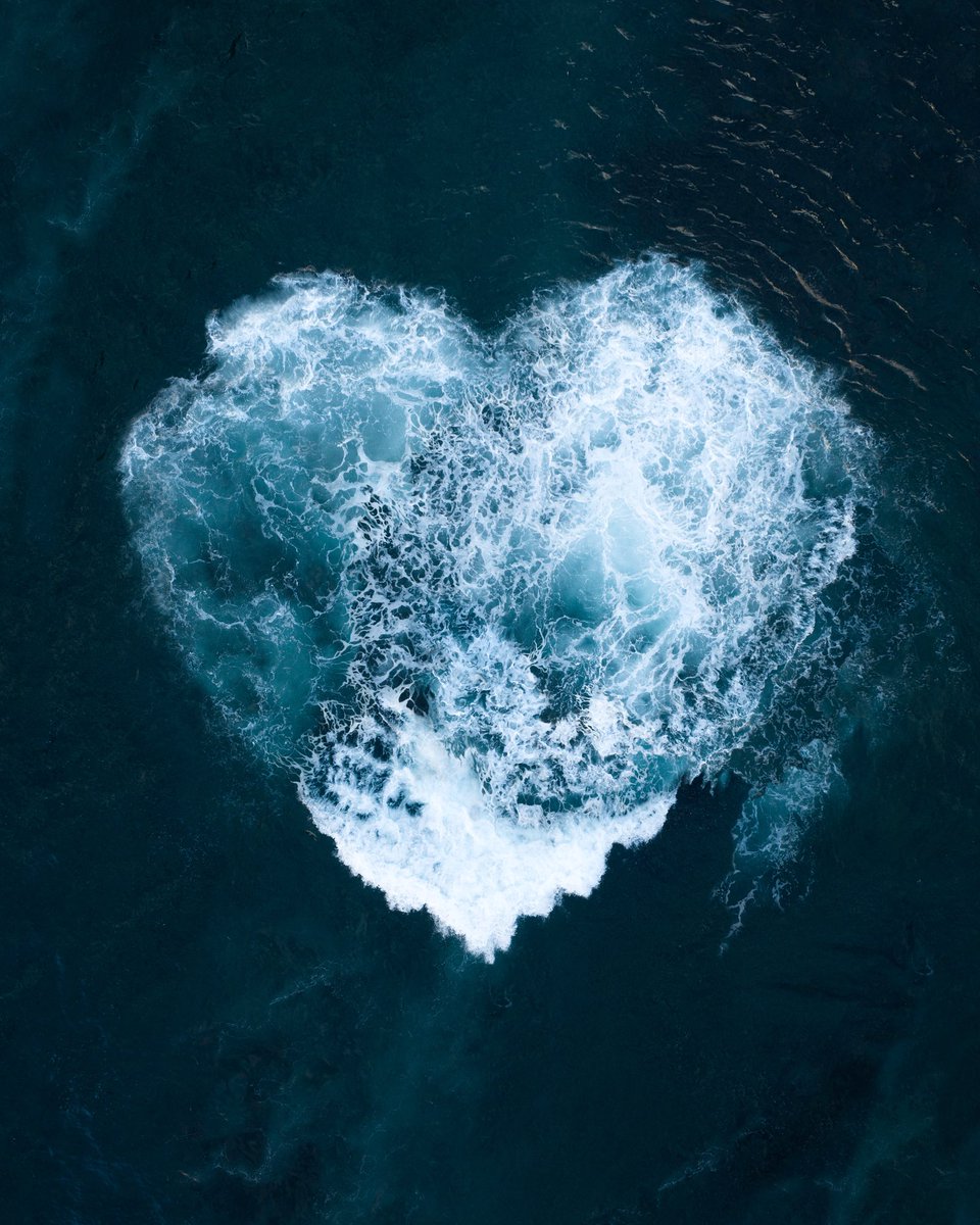 Petra Leary tweet media