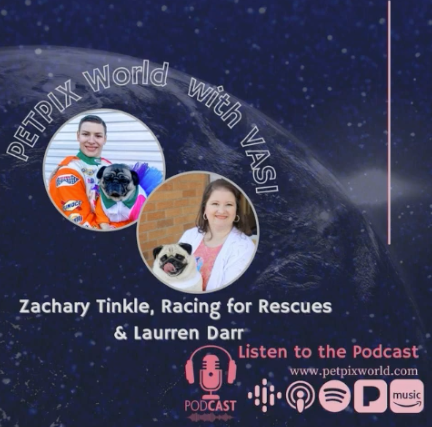 ZacharyTinkle's tweet photo. Big thank you to Vasi of Pet Pix World Group for interviewing me and @laurrendarr about my racing and the #RacingForRescues initiative. 
https://t.co/7yT8xFw2eQ
#nevergiveup #mynameisnotzach https://t.co/YgEIAkVhy9