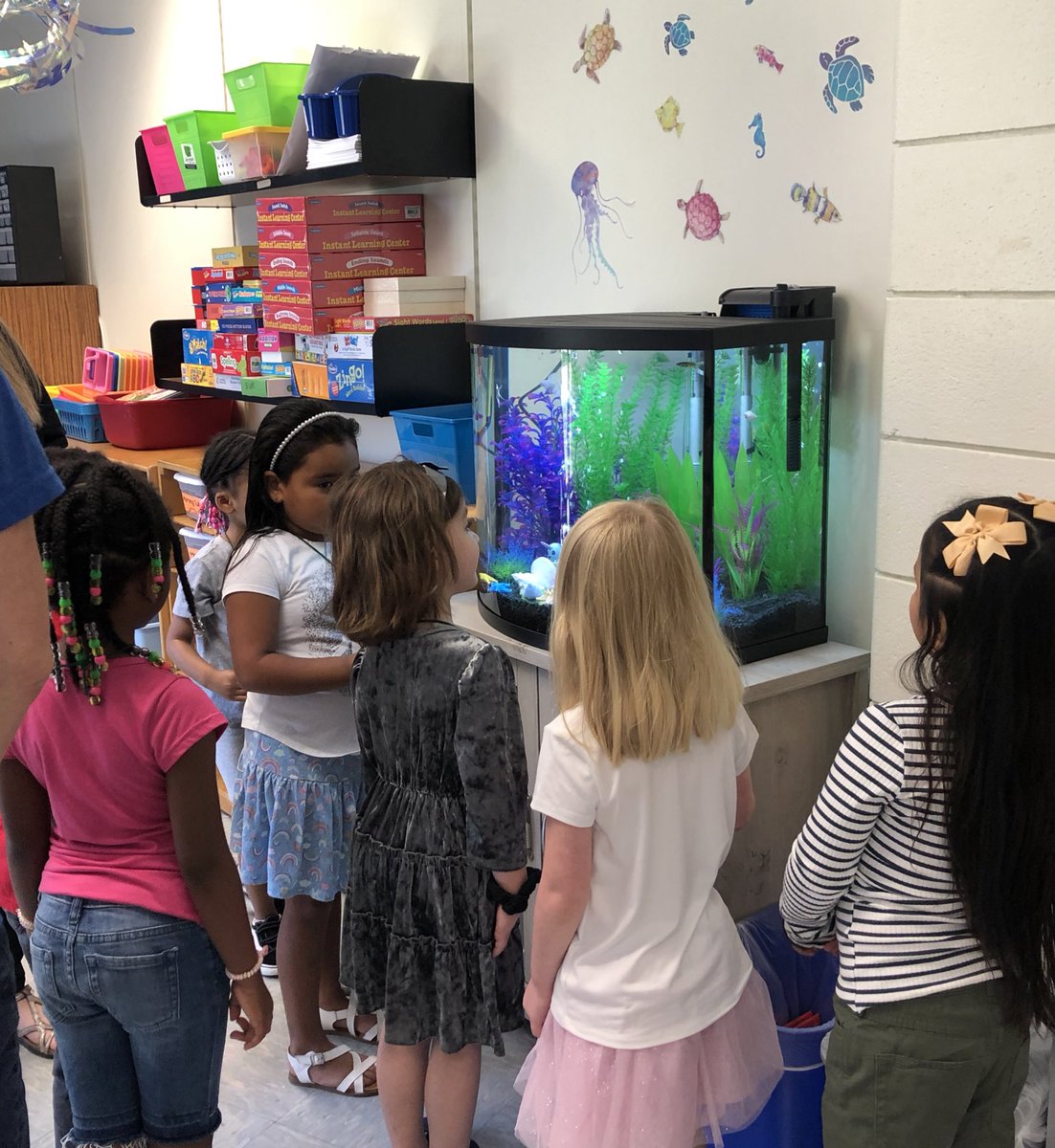 MTrue814's tweet photo. These little ones were so surprised to see they have a fish tank 🐠 in their classroom!! Watch out Kindergarten here they come and they are excited!
@teachinginRVA @SCESStars #kindergarten
#mlls
#elementaryells
#shineon https://t.co/uhzAG548c0