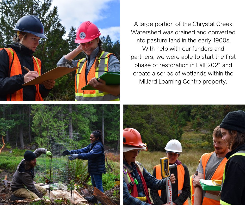 ConserveGaliano's tweet photo. We are looking for volunteers to help with planting, monitoring, and other various tasks during the second phase of restoring the Chrystal Creek Watershed. Contact restoration@galianoconservancy.ca if you are interested.

#Restoration #Wetlands #Galiano #GalianoIsland  #Volunteer https://t.co/ilI8MaTeR8