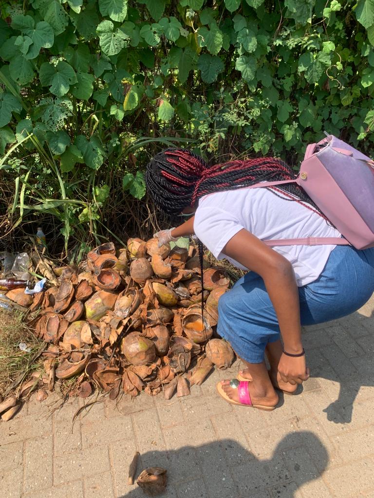 burnwisecoal's tweet photo. Let's have a discussion about sanitation, especially coconut waste
#burnwisecoal #Agyab3shii #saveatreesavealife #ugbsis60 #ugbsmwc42 #destinationlegon22 #ugbsentrepfair22 https://t.co/yvF1QOr75s