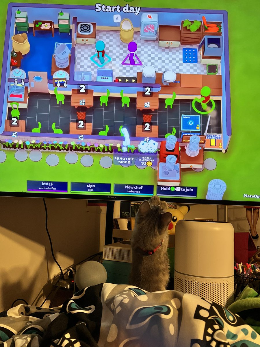 JennS90's tweet photo. I don’t remember the last time I touched Twitter, but here’s my kitten watching @michaelalfox @Northernlion https://t.co/6akbJVwLjO