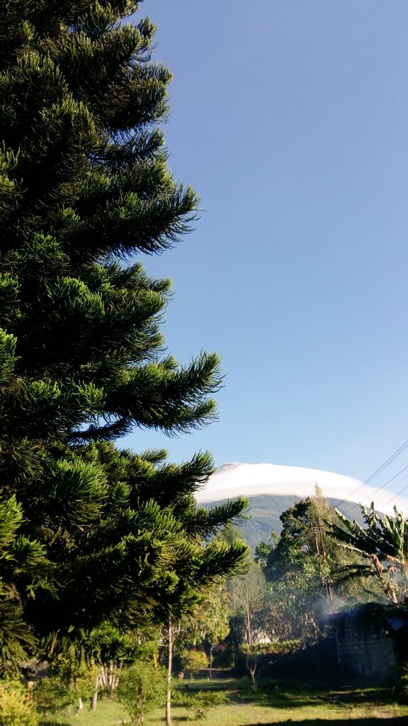 makhmud riyad (@mr_makhmoed) on Twitter photo 