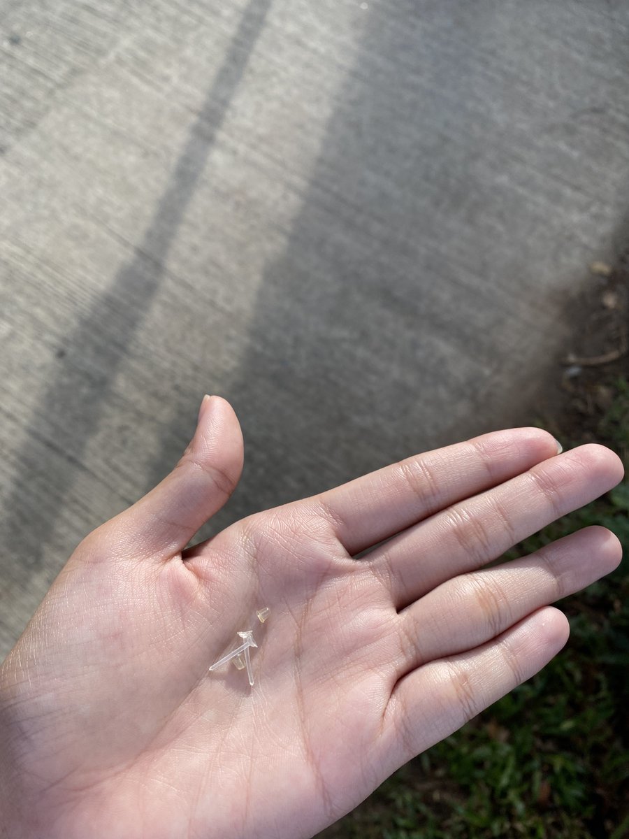 nae_manami's tweet photo. ห้ามนักเรียนเจาะหูหลายรู?? ห้ามใส่ก้านเทียม??  นร.ที่พึ่งเจาะหูมาก็ต้ิงถอดออก #เบญคอน https://t.co/7Zmy5jPwCP