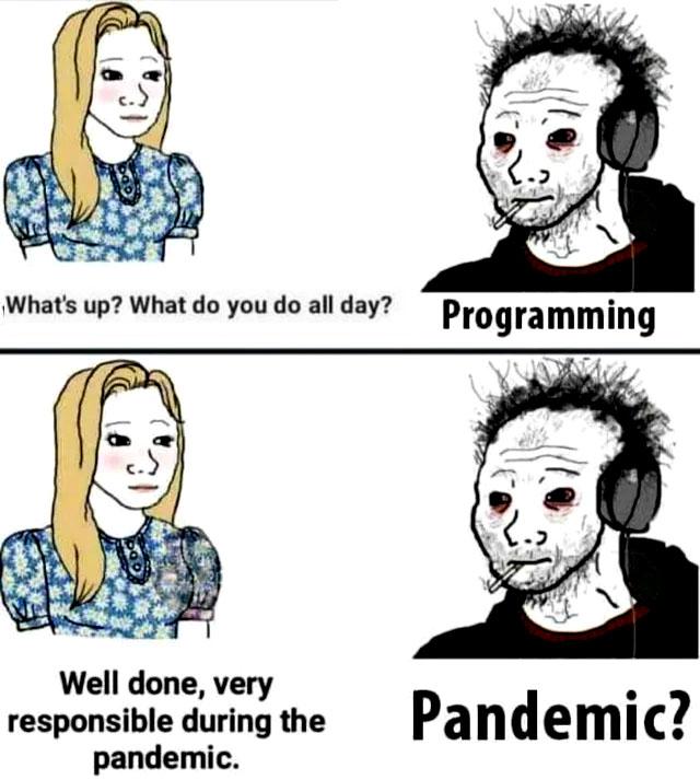 Programmer Humor tweet media