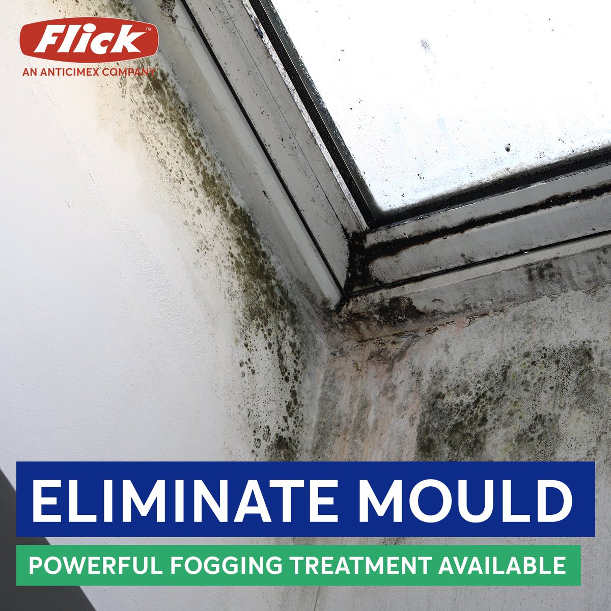 Our fogging solution eliminates mould, targets and kills airborne mould spores, and prevents mould from growing back. 

Stop the spread of mould and contact us today – call 13 14 40 or visit bit.ly/3C0ka6F

#flickanticimex #mouldsolutions #wetweather #mould #rain