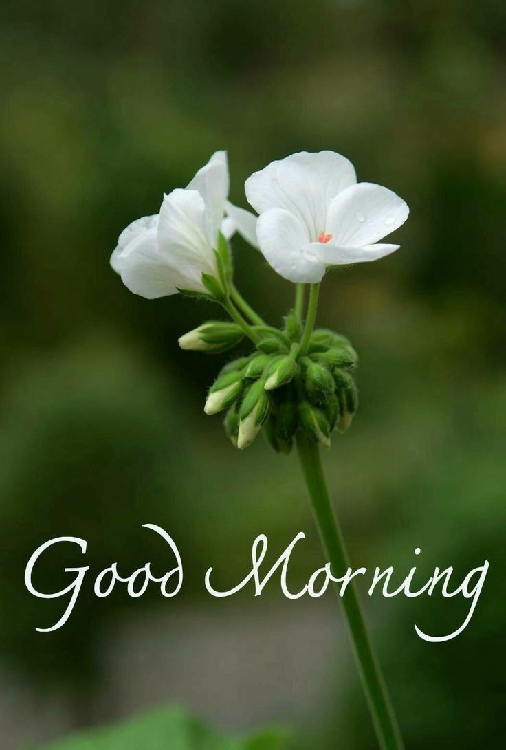 Dr Surendra Pathak on Twitter: