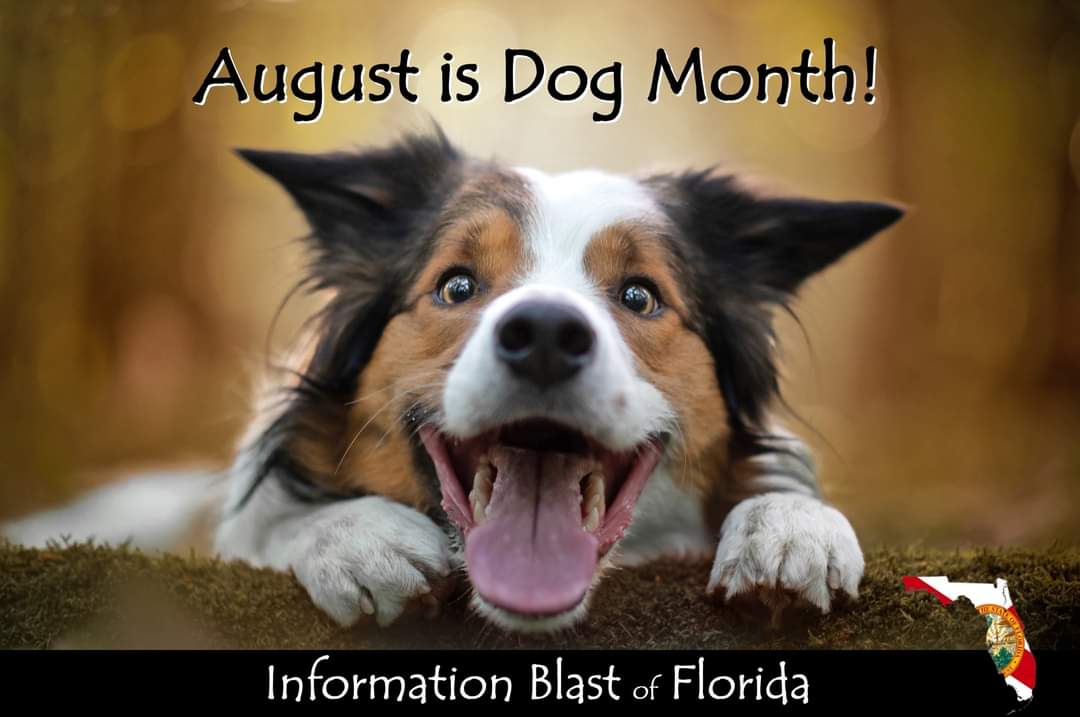 InfoBlastFL's tweet photo. Your Information Blast is here! Check on a friend and then check out your blast.

https://t.co/eU5kRd0tRJ 

#Veterans #Military #Firstresponders #WomenVeterans #veteranshelpingveterans https://t.co/mNCzfnzsj4