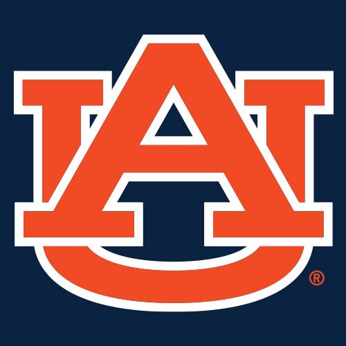 DilinJones's tweet photo. Blessed to receive a offer from Auburn university!#WarEagle🦅 @CoachCaddy24 @BrianDohn247 @RivalsFriedman @ChadSimmons_ https://t.co/mcNWiAUgDp