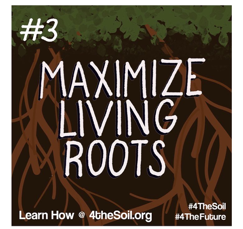 SierraClubVirg1's tweet photo. Thank you .@rvagreendrinks for a spectacular program tonight about #SoilHealth with .@4theSoil
If you remember nothing else from tonight- #KeepSoilCovered https://t.co/shQKyRNqLQ
