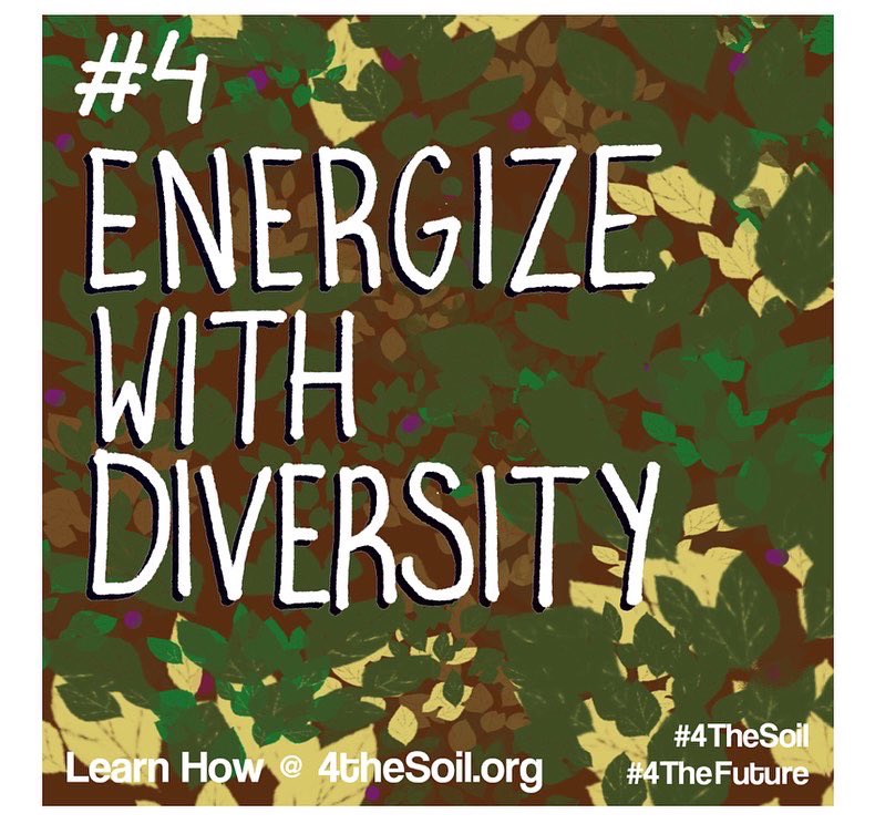 SierraClubVirg1's tweet photo. Thank you .@rvagreendrinks for a spectacular program tonight about #SoilHealth with .@4theSoil
If you remember nothing else from tonight- #KeepSoilCovered https://t.co/shQKyRNqLQ