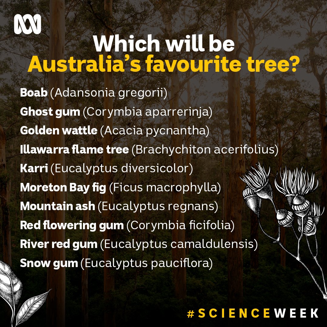 🌳 We're down to the top 10!

After 180,000+ votes, we're in the last stretch. The poll has been reset, so place your final vote to see which tree is crowned #AusFaveTree!

ab.co/3zFDnJ8 #ScienceWeek