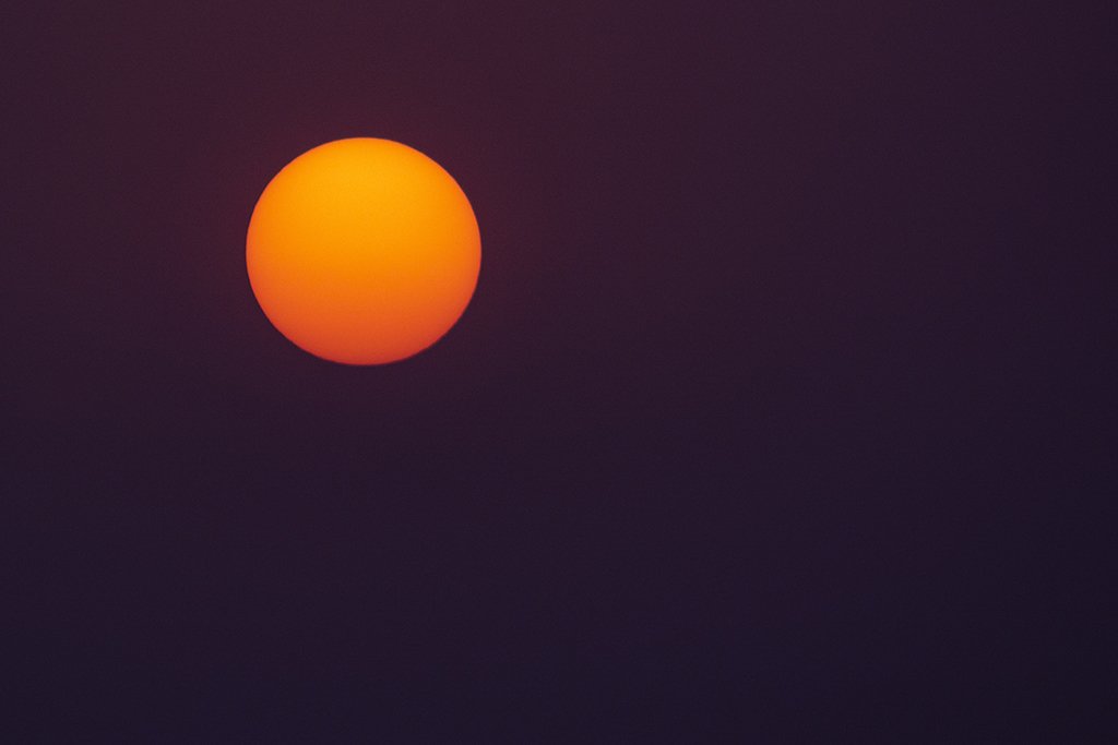 SATPAL__SINGH's tweet photo. Greetings on #WorldPhotographyDay. 

#WorldPhotographyDay2022 #WorldPhotoDay2022 #WorldPhotoDay #photography #PhotographyDay #photographylovers #satpalsingh #satpalsinghphotography #sun #NaturePhotography #wildlifephotography #travelphotography #ArtPhotography #sunrise #sunshine https://t.co/8EMYu4pjXE