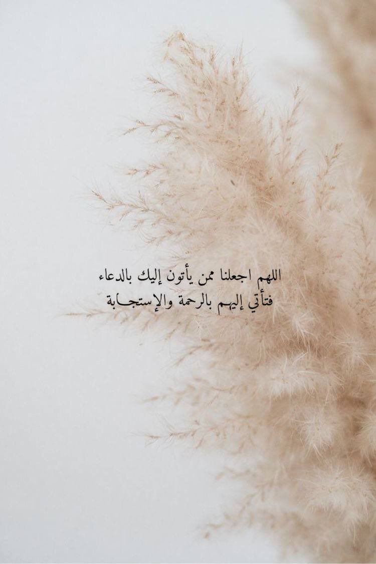 وأصبح الكونُ مسرورًا بطلعتهِ
والأرضُ تزهو به والبيتُ والحرمُ

صلّى عليه إله العرشِ ما طلعَت
شمسٌ وما لاحَ ثغرُ الفجرِ يبتسمُ، ﷺ 

#يوم_الجمعة 🌸
#صلاه_الفجر