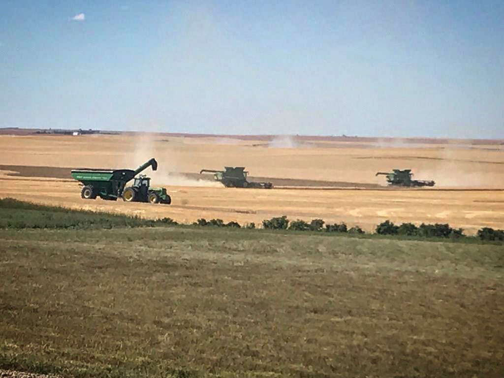 Let the games begin! Happy Harvest, and may the odds be ever be in your favour ✌🏼 #agtwitter #harvest #2022 <a href="/JeffBennett44/">Jeff Bennett</a>