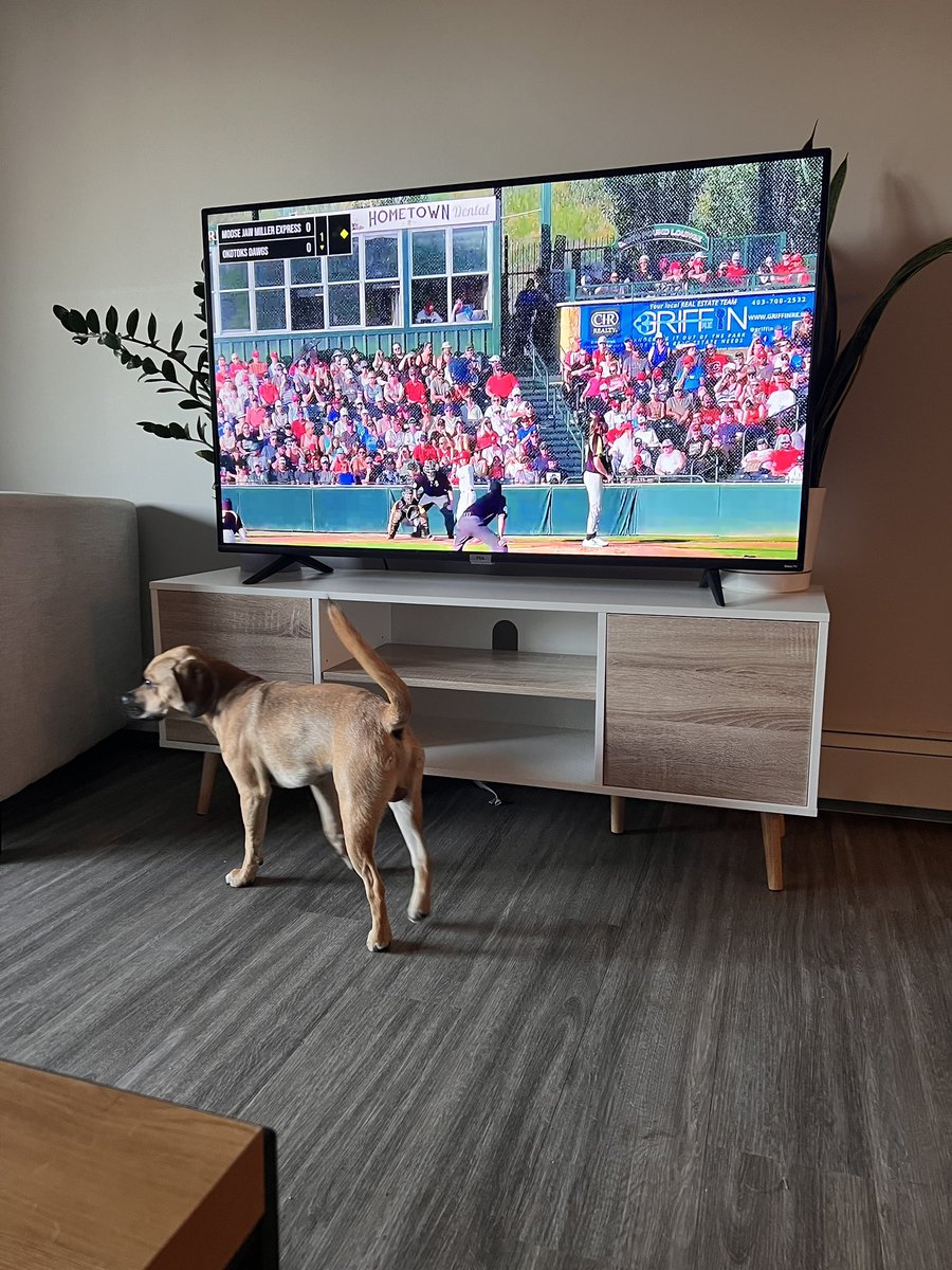 tannergoetz's tweet photo. What a summer of ⚾️! Watching the @wcbleague final and taking a moment to celebrate @HomeTeam_Live’s first full season streaming the league.

The team worked there tail off. Over 300 games streams on the app.

Looking forward to next year and making it even better! https://t.co/USZ7m67GKt