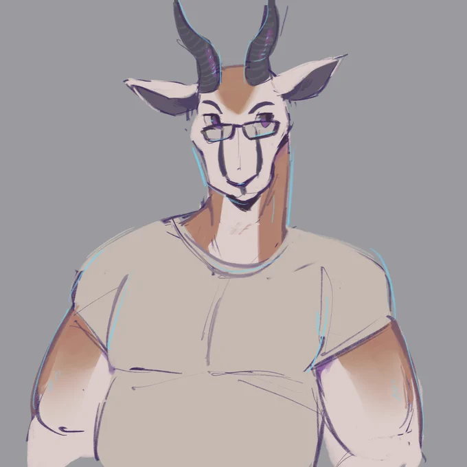 springbok 