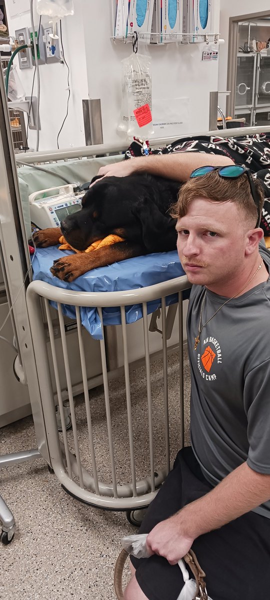 TheJFKReport tweet media