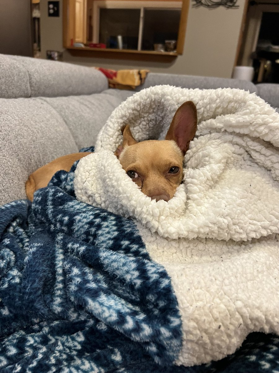 Greg Sumlin tweet media