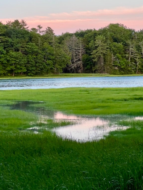 CTD3's tweet photo. #Us_Folk on #WMPGFM #Radio Broadcasting from #USM Aug19 2022, New Tracks; #BonniePrinceBilly #PatrickStefan #ArchiveValley #LukeCallen #AndrewCombs #Rakish #CourtneyHartman #DeadHorses #Hemlock_n_Hickory #SeaSongSessions
# Listen 90.9FM 8:30-10:30 A.M.EDT
https://t.co/Z1ZHoAFRW3 https://t.co/Xef8JaVCFW