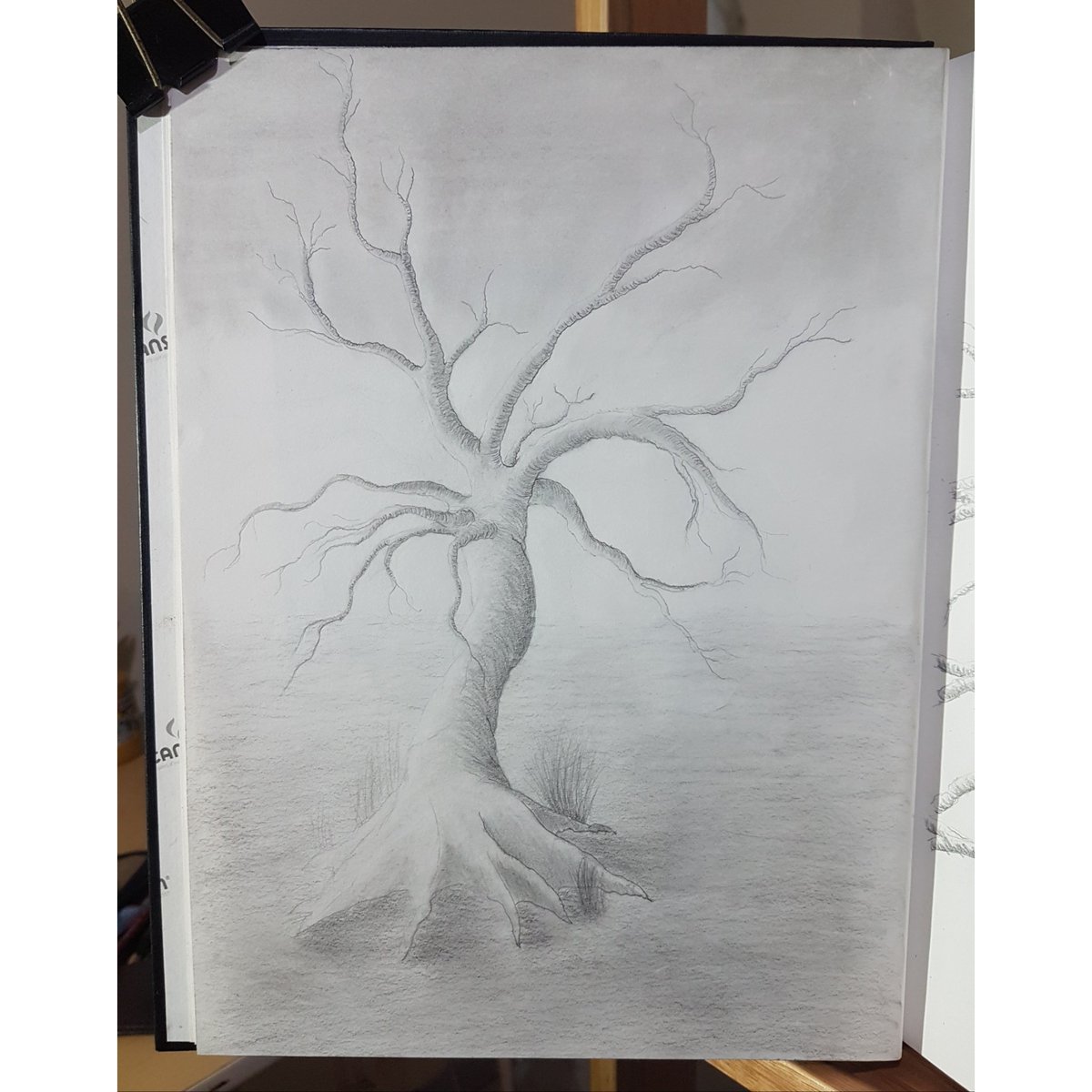 dedeluisfsd's tweet photo. Rascunho à lápis. #arte #art #desenho #drawing #grafite #graphite #árvore #tree https://t.co/H2dPnho2MF