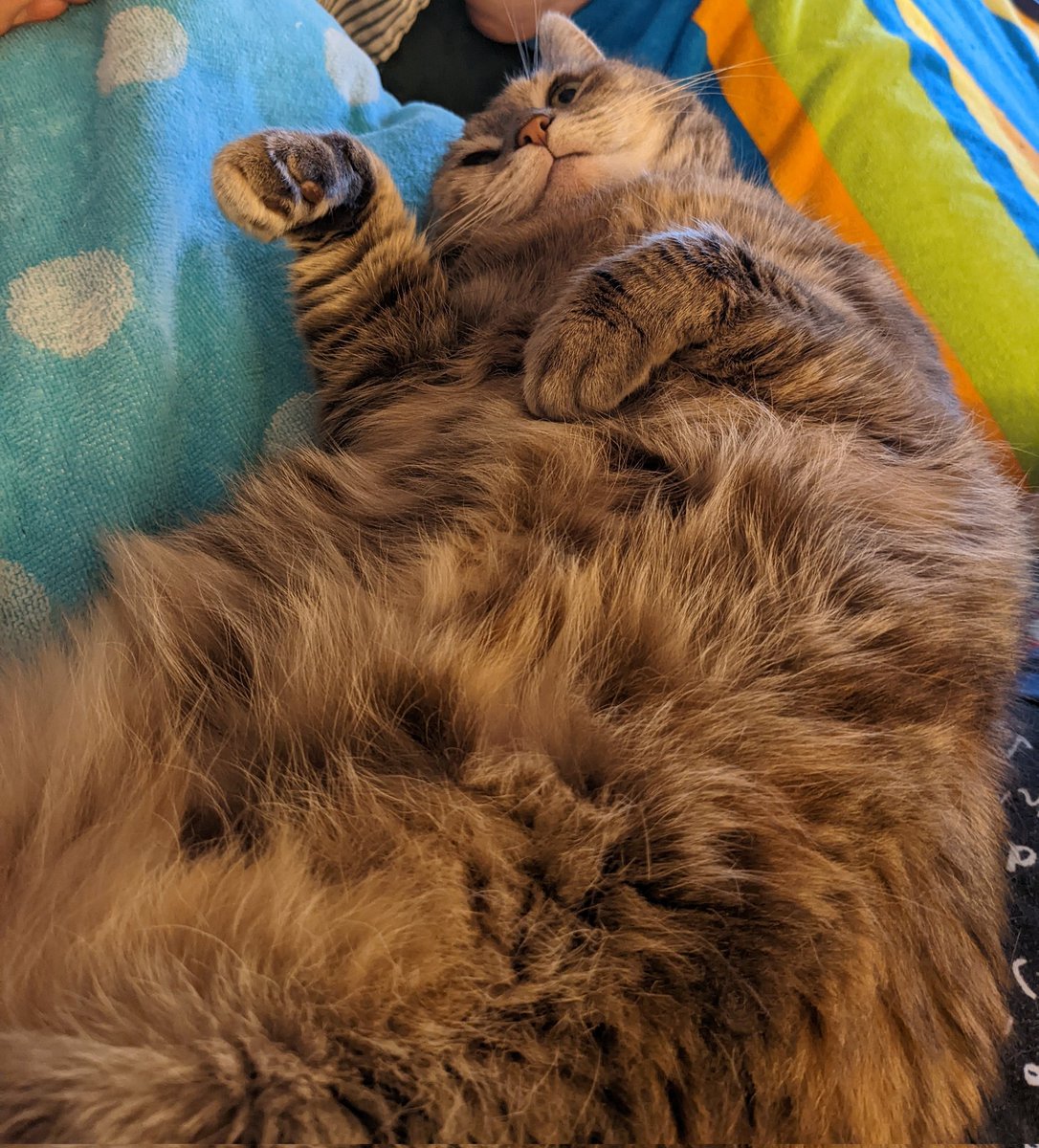 Jeremy Schulman tweet media