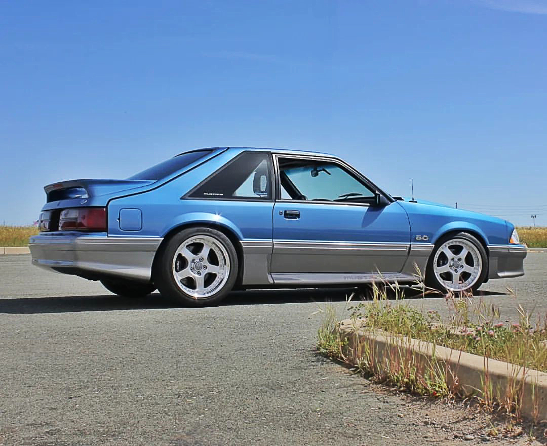 Simmons_Wheels's tweet photo. #repost
@foxbodymotorsports
Wednesday and what not - keep on keepin' on you beautiful people
.
#foxbodymotorsports #foxbodysofinstagram #therealfoxbodyaddicts #foxbodysonly #mustang #mustanggt #foxbody #foxcastnation #mustangsthathandle #carsofinstagram
#poweredbyford https://t.co/Z2bfRzPHwl
