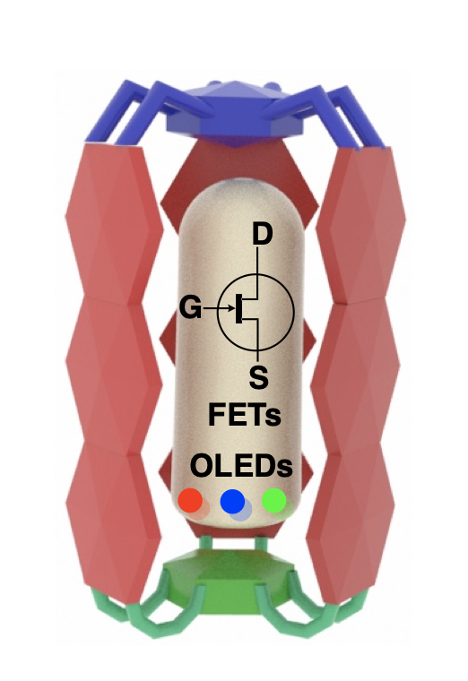 Jovica Badjic tweet media