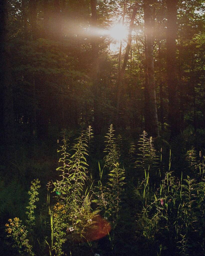 fredranger's tweet photo. Photography as therapy? Most definitely.
.
.
.
.
.
#filmphotography #film #mm #filmisnotdead #analogphotography #mmfilm #analog #filmcamera #ishootfilm #filmcommunity #kodak #filmphoto #filmisalive #shootfilm #cinematography #analogue #filmfeed #staybr… https://t.co/1iLfKDpoLf https://t.co/81s2jOWKr4