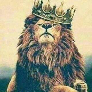 لا تـنبش الماضي و لا تنشغل فيه 
الدمع ما يـرقى من العـين لا طـاح
 
لا تنـتظر من فاقـد الشي يعـطيك
 عمر العزا ما صار في صالة افرا ح

صباحكم 
جمعه مباركه