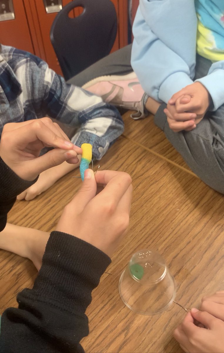 TechyMrsWalsh's tweet image. Team building activities-Save Fred and The Marshmallow Challenge! Talked about not giving up and growth mindset!