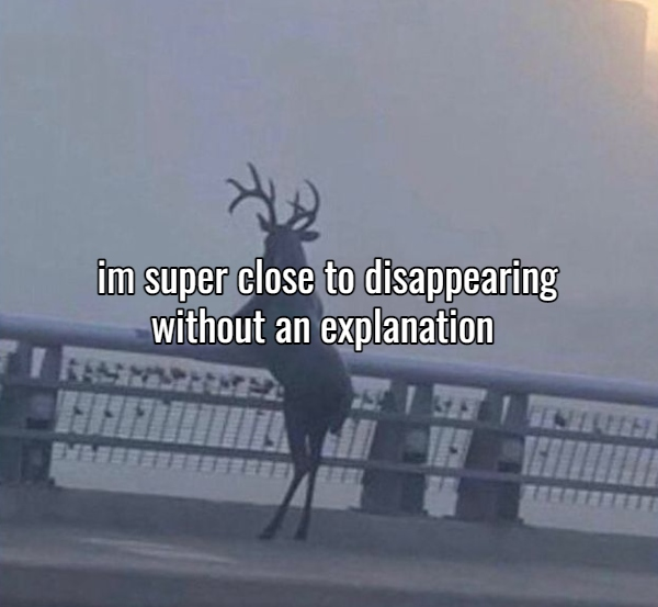 explophile's tweet image. 