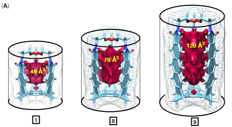 Radoslav (Rade) Pavlović 🧪🦋🌈 tweet media
