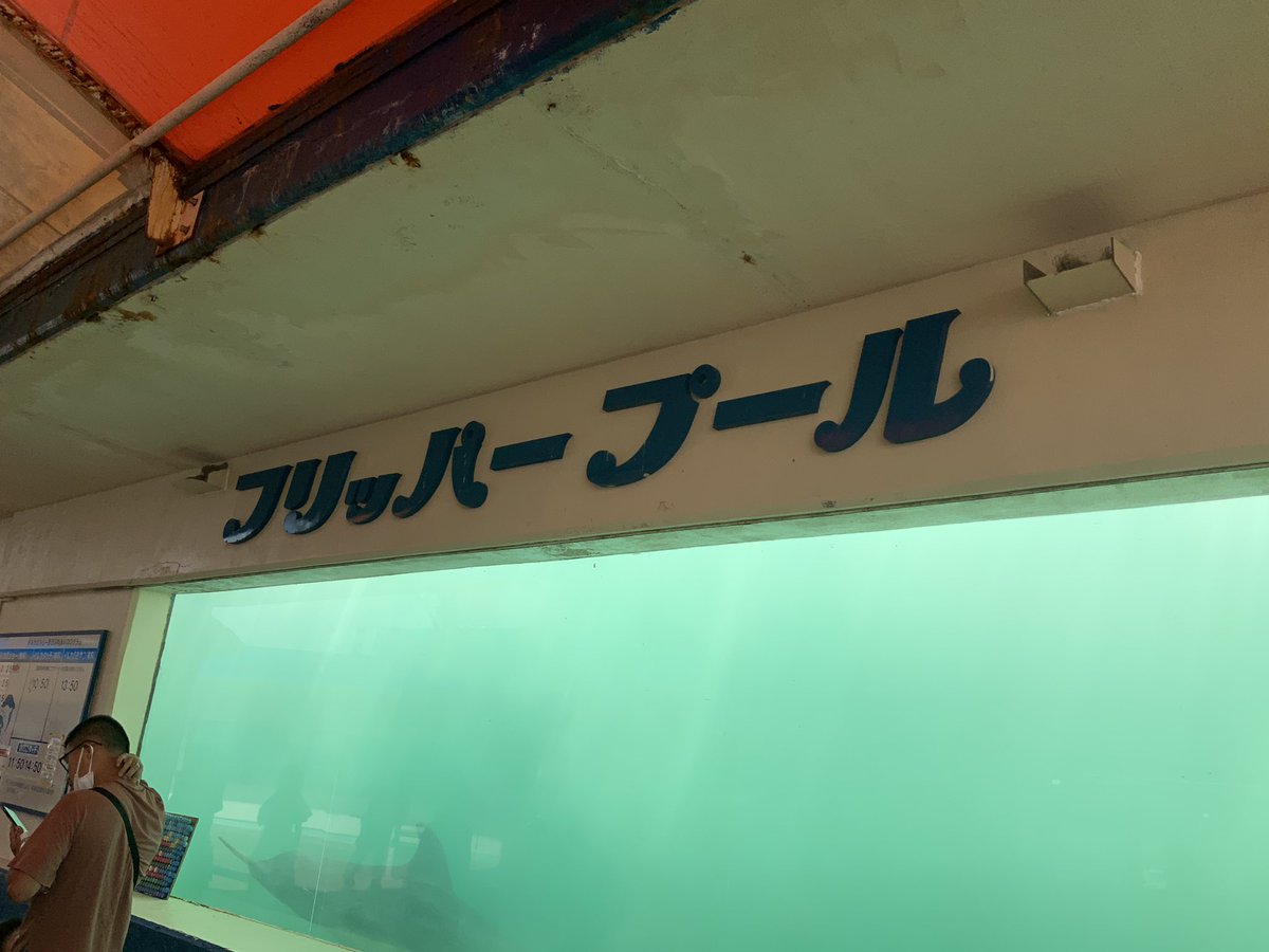 deepbug2004's tweet photo. 観光船「竜宮城」の様子 / イルカ島の様子 https://t.co/AuW9Jp7MDU