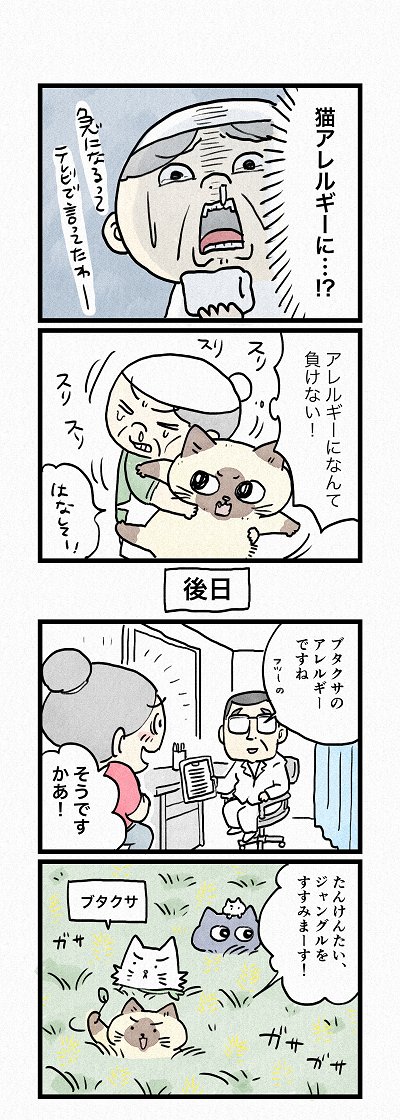 「負けない気持ち」│フェリシモ猫部 https://t.co/k7UXSCKUgp 