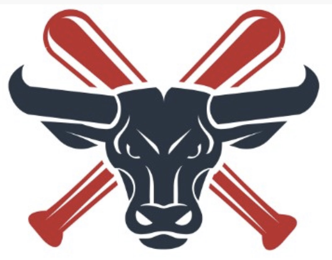 BC_Bulls's tweet photo. Follow the Blue Collar Bulls 10U baseball team this fall season! https://t.co/6Y7RMUQyP5