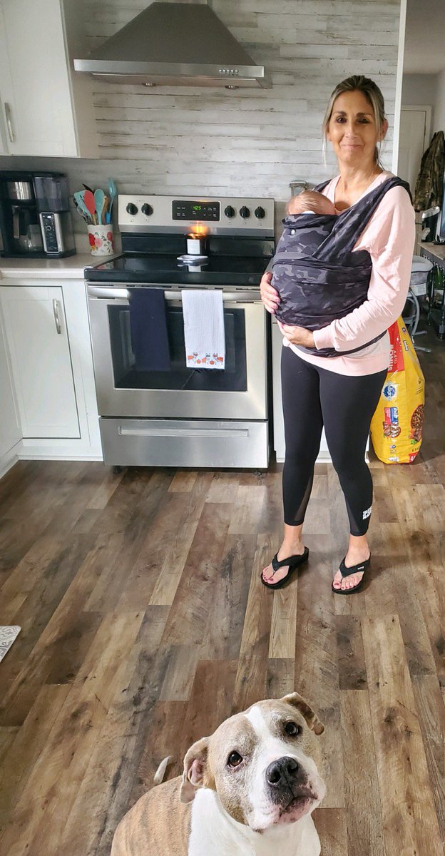 aud_futuree's tweet image. Bork bork I hold baby