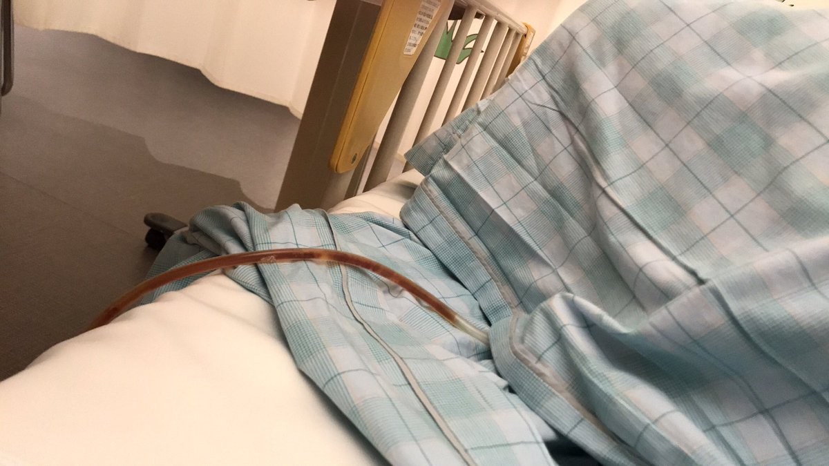 kanachan_pan's tweet photo. お久しぶりです。
2回手術も無事終わり自宅安静してます。 https://t.co/YW68jyEEp4