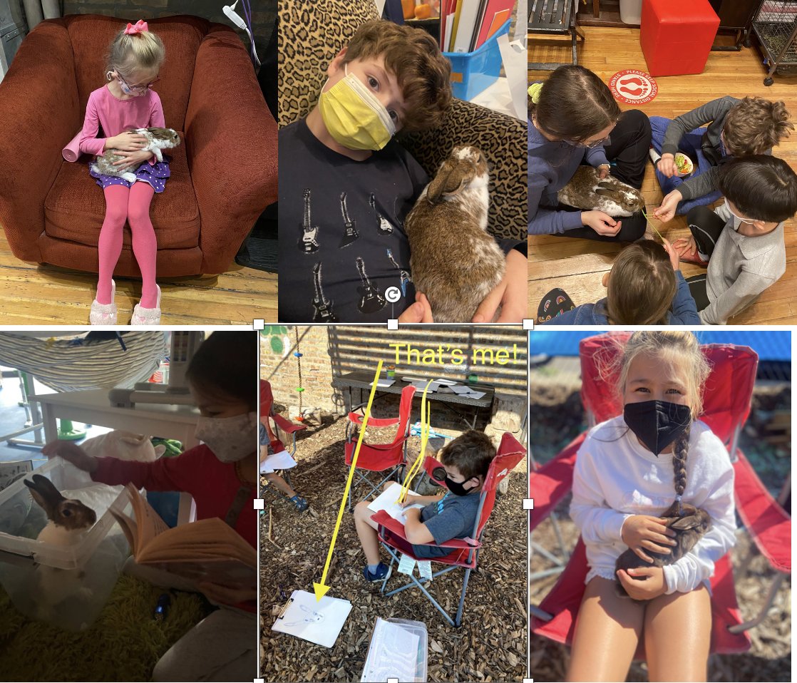 Eight days until school! Today we hear from Bunilla, 4H Project and Rabbit in Residence, about his favorite memory from last year: “I really loved posing for art class. I also liked taste testing the salad from cooking class and listening to stories under the blanket tents.”