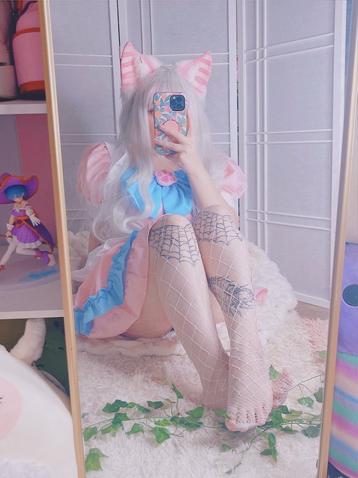 Meow https://t.co/Jocv70LBJN