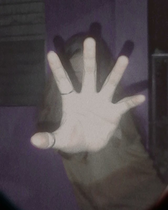 MetRayray tweet picture