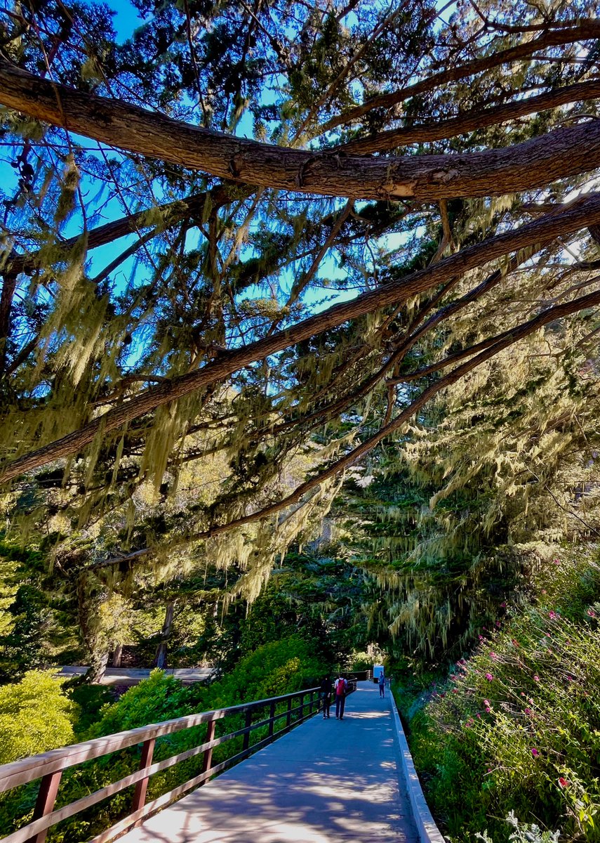 BirkaKayo's tweet photo. Peace walk

#esalen #humansofesalen #california #twitterphotography https://t.co/THLq6Iykpq