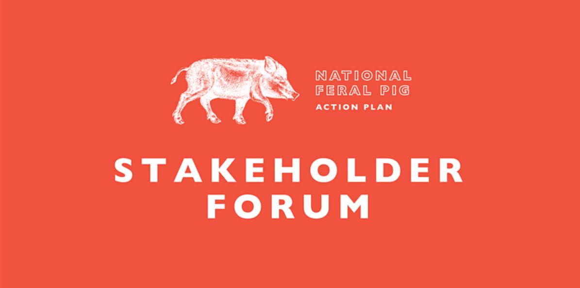 Stakeholder forum-Working together to reduce threats from feral pigs 
30 August, 2-3:45 pm AEST
What role may #feralpigs play in the transmission of #FMD in Aus &amp; how do our demo sites engage with stakeholders for effective #feralpig control. Register here
us06web.zoom.us/webinar/regist…