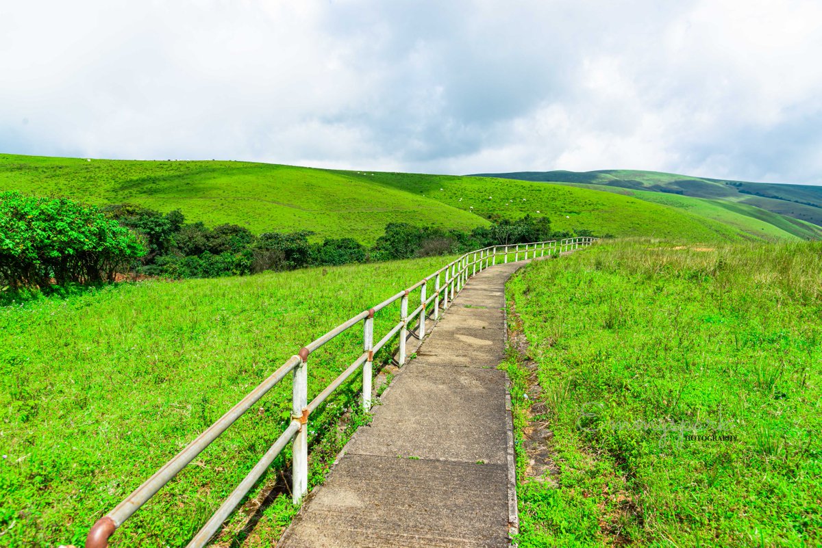 emmyspark_ng's tweet image. The World is just a single frame.    ~EmmysparkQuote

Happy #WorldPhotographyDay #WorldPhotographyDay2022 #emmyspark Abuja #theguyalbum #TheGuy