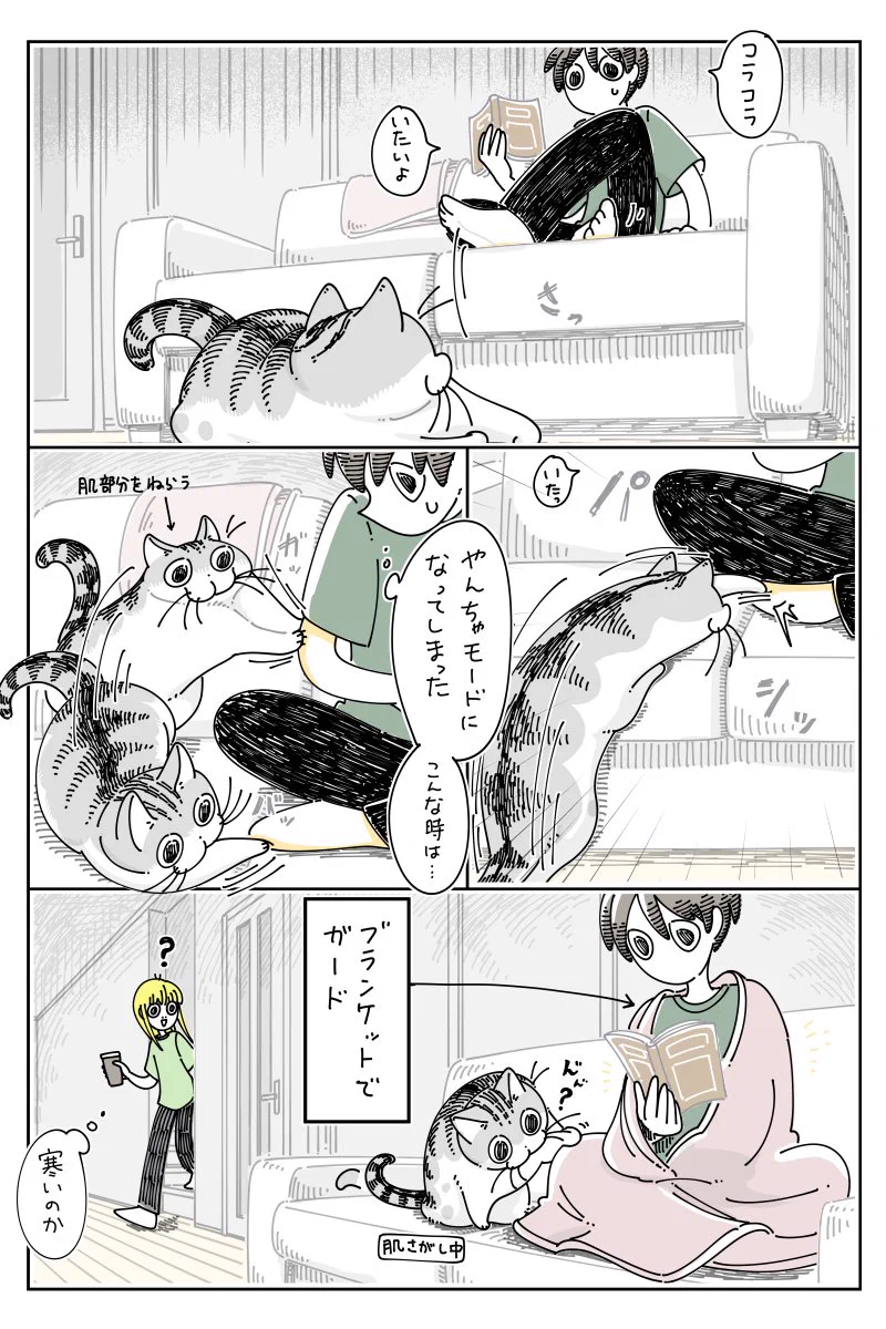 やんちゃなモードに入っても可愛い！とある猫漫画が話題に！