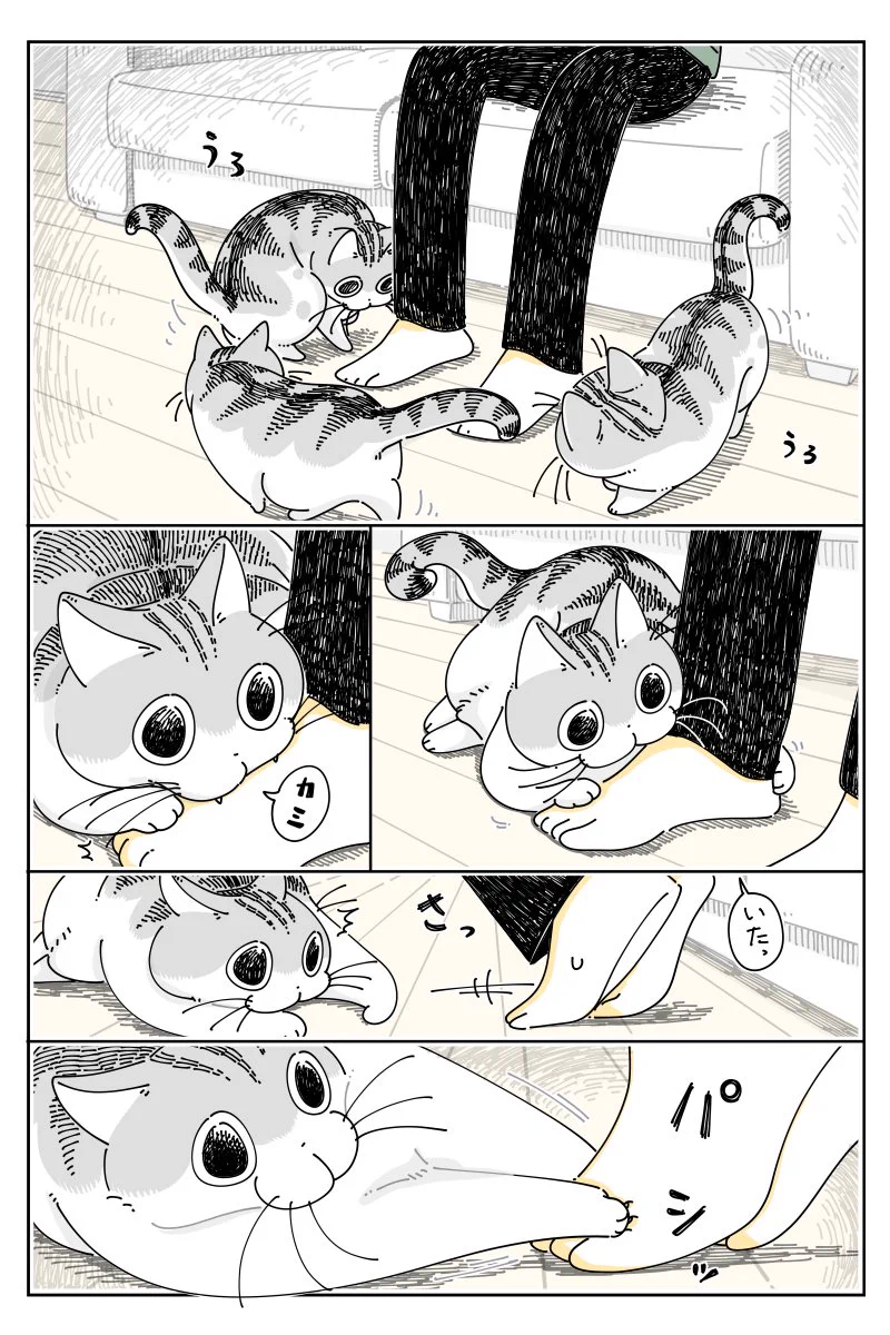 やんちゃなモードに入っても可愛い！とある猫漫画が話題に！